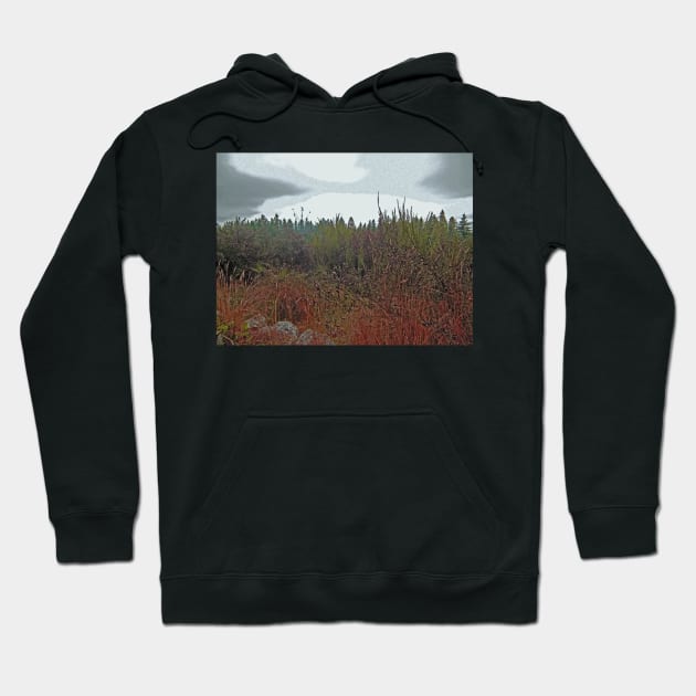 Colorful Digital Art of Landscape Hoodie by TomikoKH19
